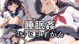 【エロCG/動画】睡眠姦スヤァヒヨずかん【Airimu】