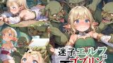 【エロCG/動画】迷子のエルフはゴブリンの孕み腹【Airimu】