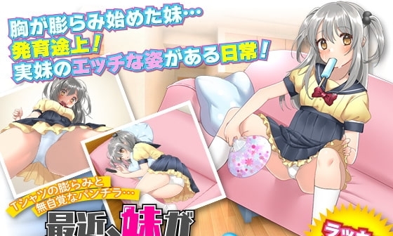 【エロゲーム】【スマホ版】Tシャツの膨らみと無自覚なパンチラ… 最近、妹が気になりすぎる(汗!)【DL Play Box版】【かみつまき】 【エロゲーム】【スマホ版】Tシャツの膨らみと無自覚なパンチラ… 最近、妹が気になりすぎる(汗!)【DL Play Box版】【かみつまき】