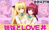 【エロCG/動画】姉妹とLOVE丼 ～姉妹ハーレム～【あむぽPON】